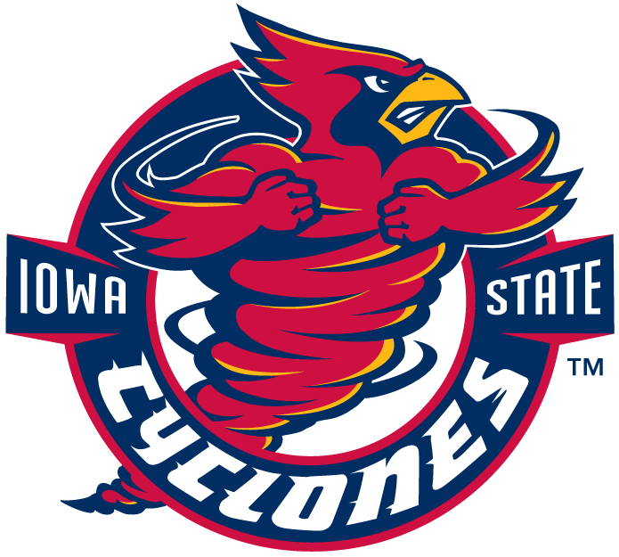 Iowa State Cyclones 1995-2007 Alternate Logo iron on transfers for T-shirts